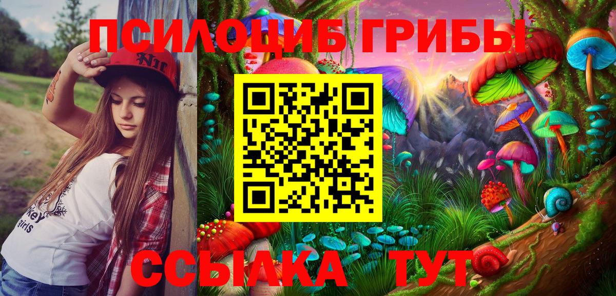 Верхняя Пышма  Псилоцибиновые грибы Psilocybe  Вход с VPN 